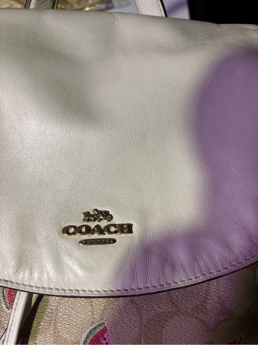 COACH Cream Signature Canvas Backpack with Watermelon Print - Picture 2 of 6